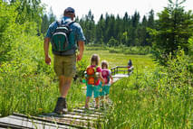 Region Sommer Bild 7