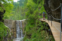 Region Sommer Bild 10