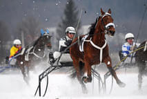 Region Winter Bild 0